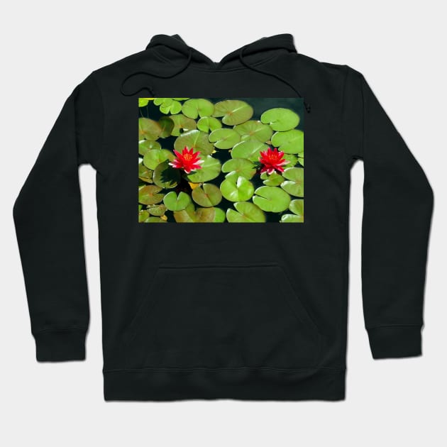 Floating pair of Red Water Lilly Flowers on Pond Hoodie by Scubagirlamy